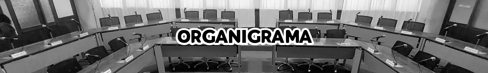 Organigrama